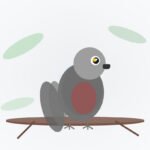 Brown-headed Parrot