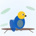 Blue & Gold Macaw