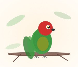 Turquoise conure