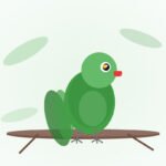 Indian Ringneck