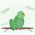 Sun Conure